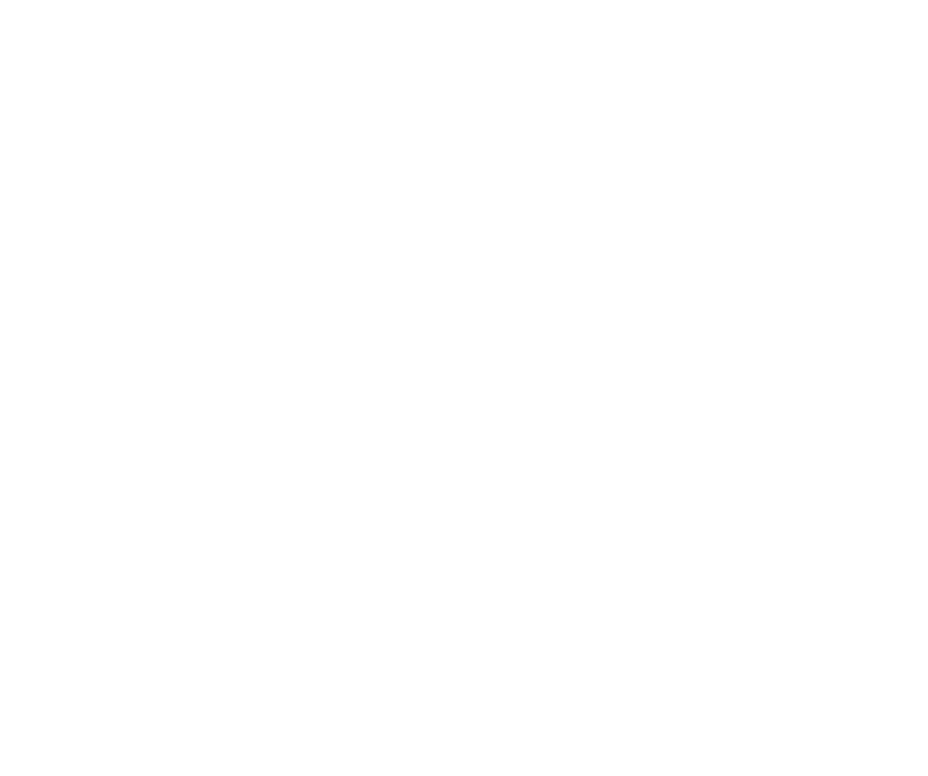 The Silver Lake Brewing Project